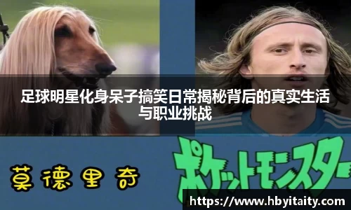 威廉希尔官方app下载